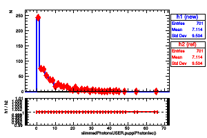 slimmedPhotonsUSER.puppiPhotonIso()